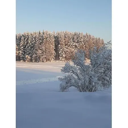 Appealing Near * Argenbühl