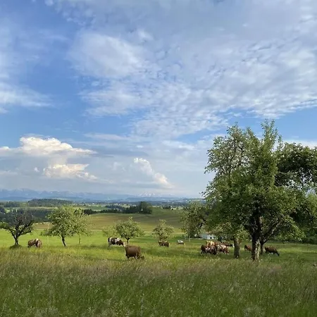 Appealing Near * Argenbühl